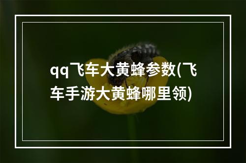 qq飞车大黄蜂参数(飞车手游大黄蜂哪里领)