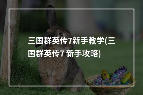 三国群英传7新手教学(三国群英传7 新手攻略)