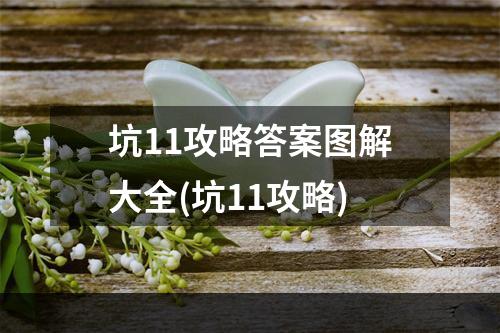 坑11攻略答案图解大全(坑11攻略)