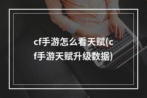 cf手游怎么看天赋(cf手游天赋升级数据)