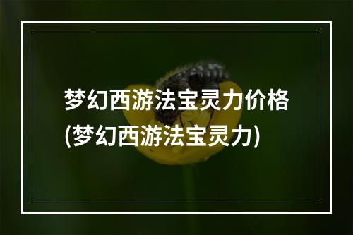 梦幻西游法宝灵力价格(梦幻西游法宝灵力)