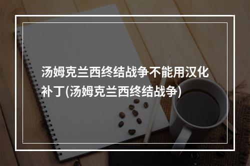 汤姆克兰西终结战争不能用汉化补丁(汤姆克兰西终结战争)