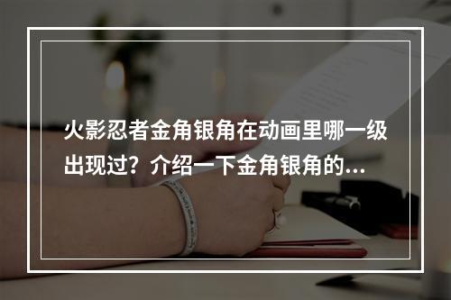 火影忍者金角银角在动画里哪一级出现过？介绍一下金角银角的详细信息，谢谢了！(火影忍者萨摩伊)