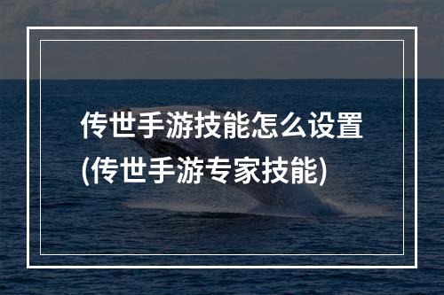 传世手游技能怎么设置(传世手游专家技能)