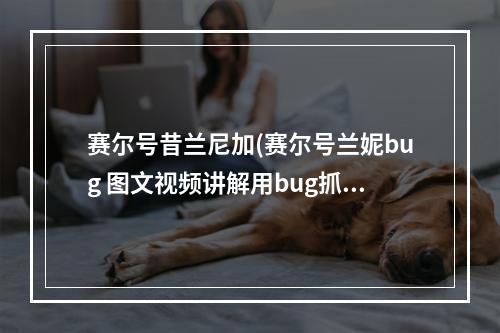 赛尔号昔兰尼加(赛尔号兰妮bug 图文视频讲解用bug抓兰妮 )