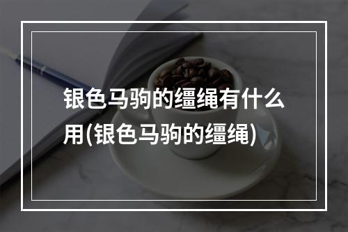 银色马驹的缰绳有什么用(银色马驹的缰绳)