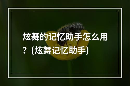 炫舞的记忆助手怎么用？(炫舞记忆助手)