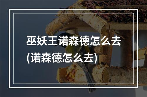 巫妖王诺森德怎么去(诺森德怎么去)