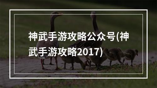 神武手游攻略公众号(神武手游攻略2017)