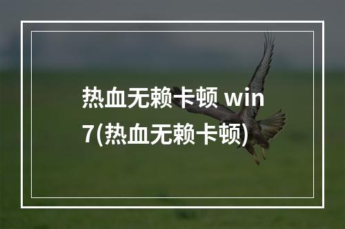 热血无赖卡顿 win7(热血无赖卡顿)