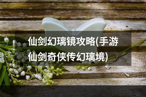 仙剑幻璃镜攻略(手游仙剑奇侠传幻璃境)