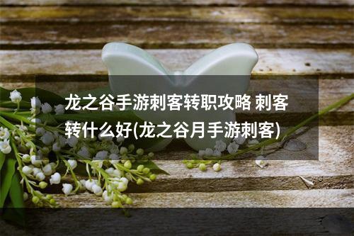 龙之谷手游刺客转职攻略 刺客转什么好(龙之谷月手游刺客)