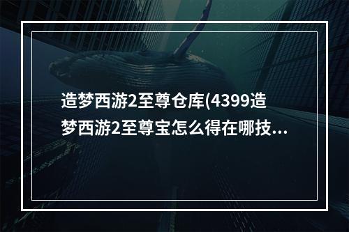 造梦西游2至尊仓库(4399造梦西游2至尊宝怎么得在哪技能)