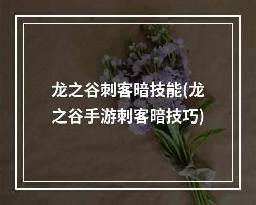 龙之谷刺客暗技能(龙之谷手游刺客暗技巧)