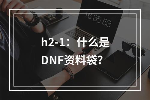 h2-1：什么是DNF资料袋？