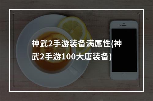 神武2手游装备满属性(神武2手游100大唐装备)