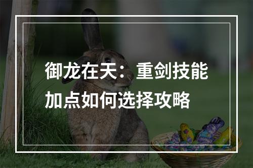 御龙在天：重剑技能加点如何选择攻略