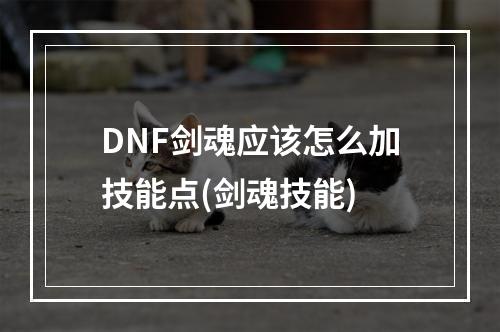 DNF剑魂应该怎么加技能点(剑魂技能)