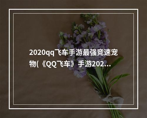 2020qq飞车手游最强竞速宠物(《QQ飞车》手游2022最强宠物排行榜一览 最强的宠物是什么)