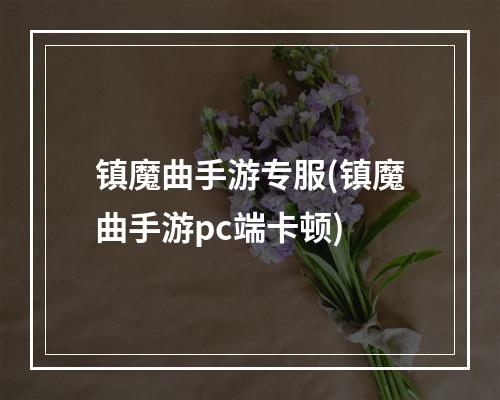 镇魔曲手游专服(镇魔曲手游pc端卡顿)