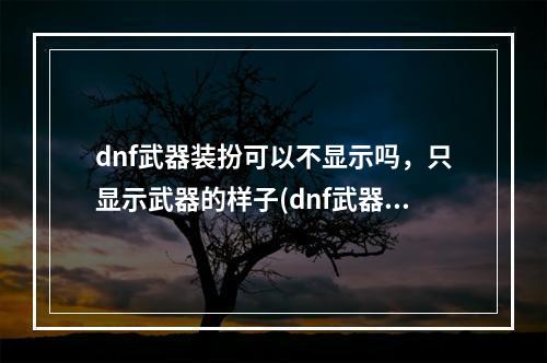 dnf武器装扮可以不显示吗，只显示武器的样子(dnf武器装扮)