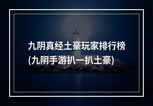 九阴真经土豪玩家排行榜(九阴手游扒一扒土豪)