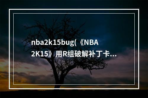 nba2k15bug(《NBA2K15》用R组破解补丁卡顿的解决办法)