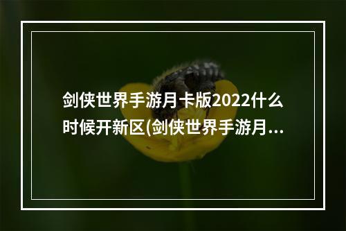 剑侠世界手游月卡版2022什么时候开新区(剑侠世界手游月卡)