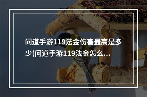 问道手游119法金伤害最高是多少(问道手游119法金怎么样)