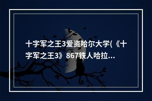 十字军之王3爱资哈尔大学(《十字军之王3》867铁人哈拉尔图文战报)