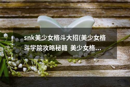 snk美少女格斗大招(美少女格斗学院攻略秘籍  美少女格斗学院全攻略  美少女)