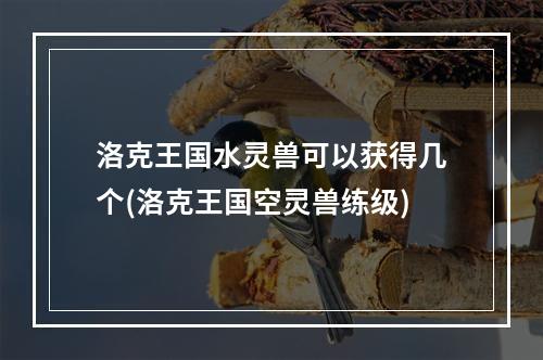 洛克王国水灵兽可以获得几个(洛克王国空灵兽练级)