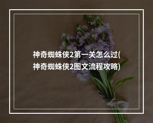 神奇蜘蛛侠2第一关怎么过(神奇蜘蛛侠2图文流程攻略)