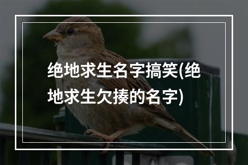 绝地求生名字搞笑(绝地求生欠揍的名字)