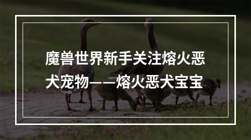 魔兽世界新手关注熔火恶犬宠物——熔火恶犬宝宝