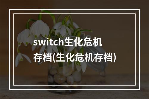 switch生化危机存档(生化危机存档)