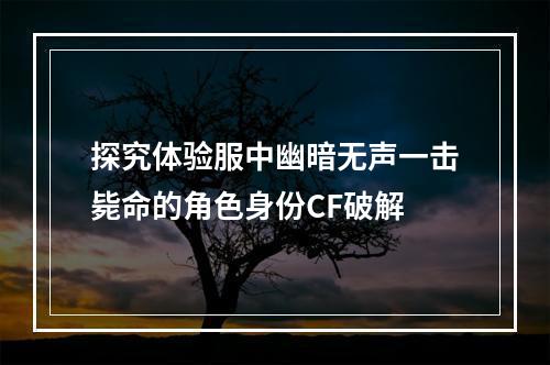 探究体验服中幽暗无声一击毙命的角色身份CF破解