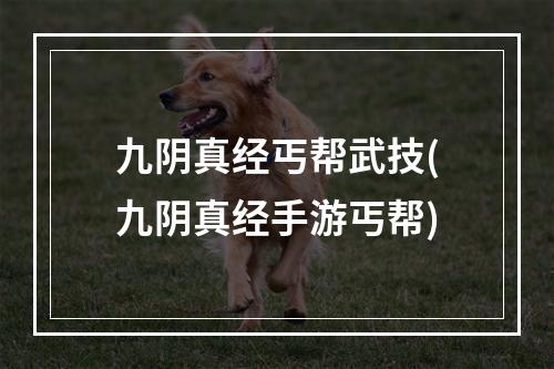 九阴真经丐帮武技(九阴真经手游丐帮)