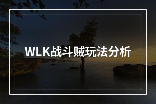 WLK战斗贼玩法分析