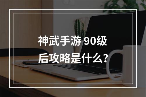 神武手游 90级后攻略是什么？