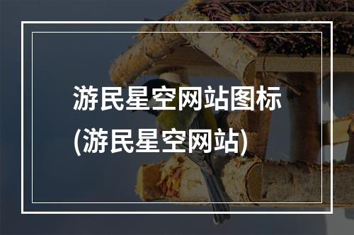 游民星空网站图标(游民星空网站)