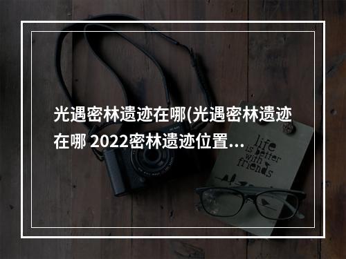 光遇密林遗迹在哪(光遇密林遗迹在哪 2022密林遗迹位置详解 光遇 机游 )