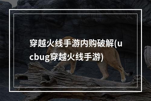 穿越火线手游内购破解(ucbug穿越火线手游)