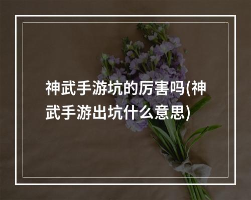 神武手游坑的厉害吗(神武手游出坑什么意思)