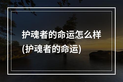 护魂者的命运怎么样(护魂者的命运)