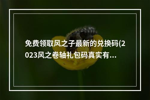 免费领取风之子最新的兑换码(2023风之卷轴礼包码真实有效永久礼包兑换码大全 14个最)