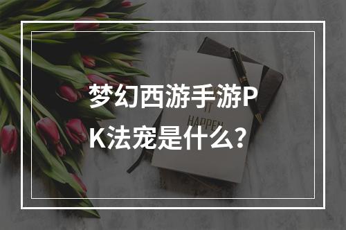 梦幻西游手游PK法宠是什么？