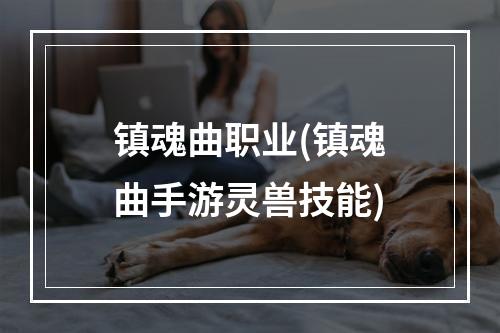 镇魂曲职业(镇魂曲手游灵兽技能)