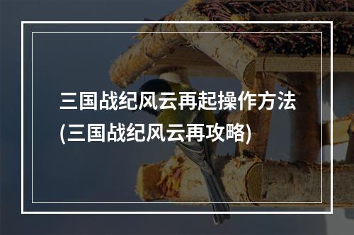 三国战纪风云再起操作方法(三国战纪风云再攻略)