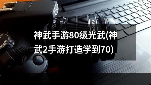 神武手游80级光武(神武2手游打造学到70)